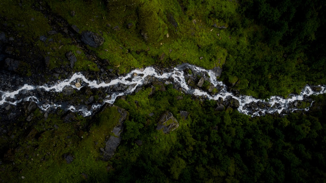 Aire Creativo: Inspiración en la Naturaleza