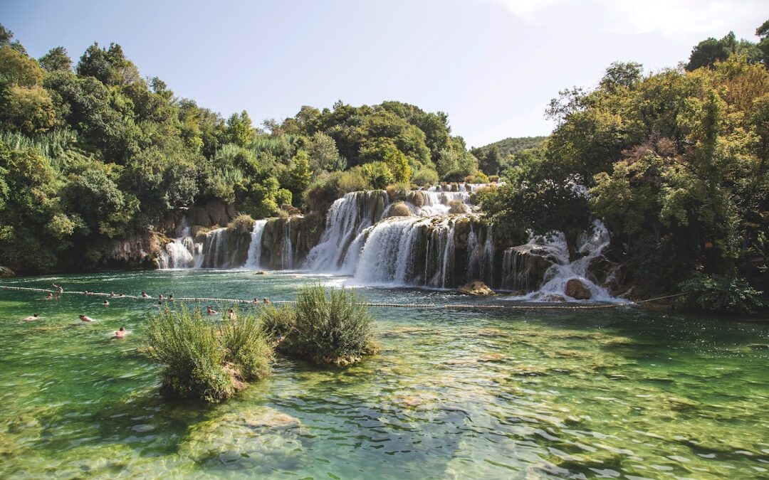 Despertando la Inspiración: Renovación en la Naturaleza