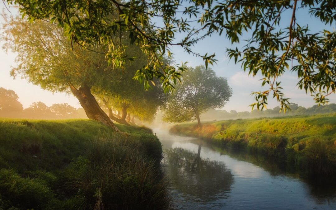 Renovando la Creatividad en la Naturaleza